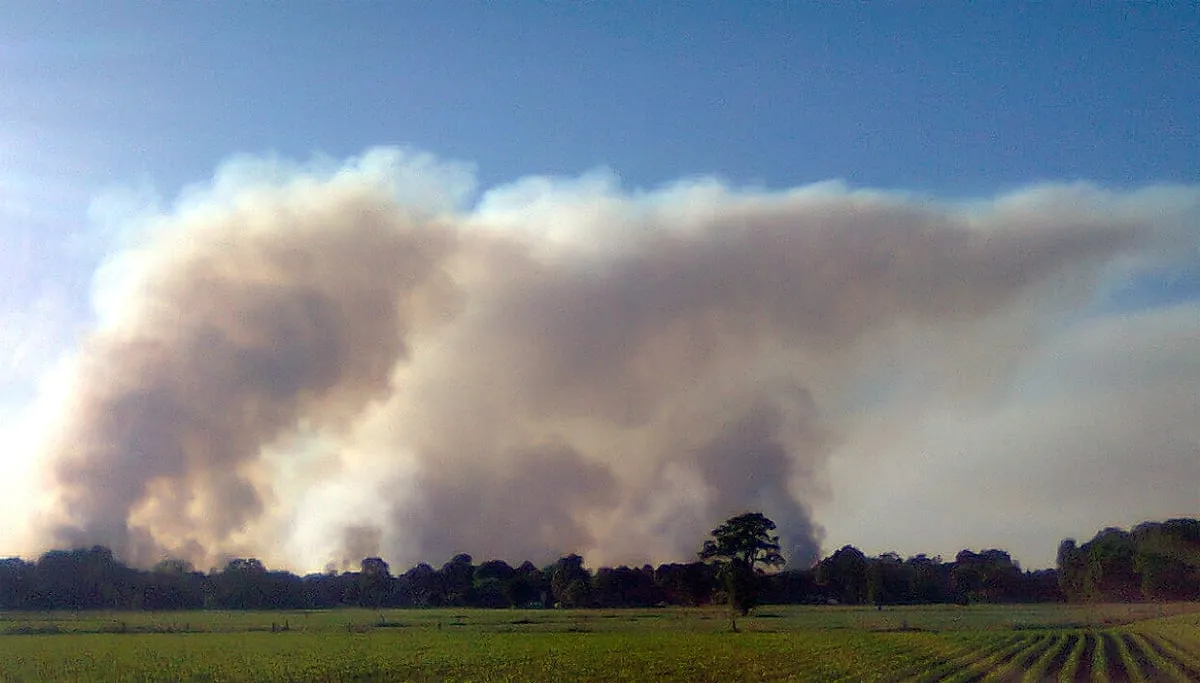 natuurbrand mrfingers cc by sa 30 via wikimedia commons