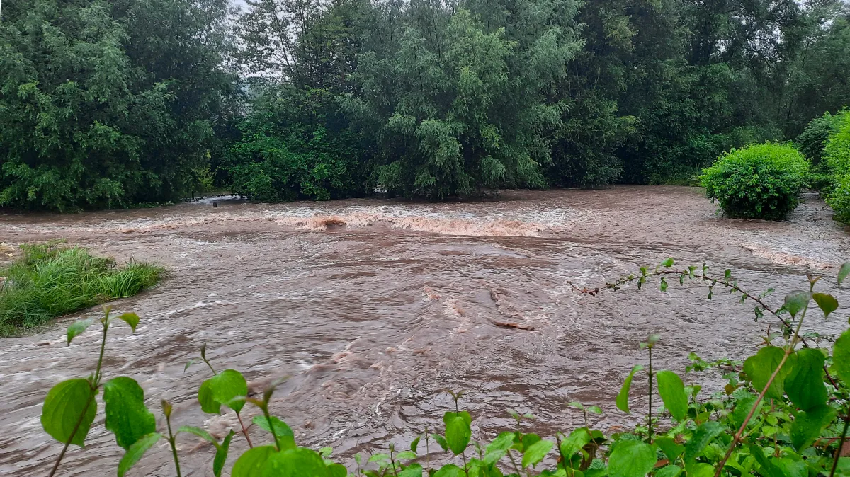 natuurkracht ark natuurontwikkeling