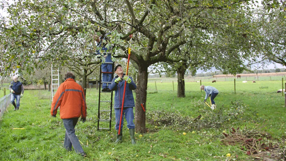 natuurwerkdag