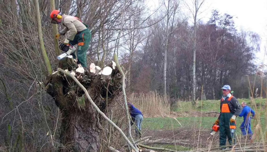 natuurwerkdag ergens in nederland