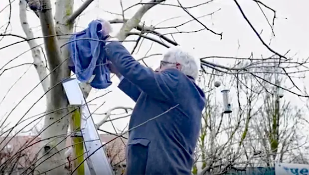 nestkasten de duizendpoot sjraar cox emp news