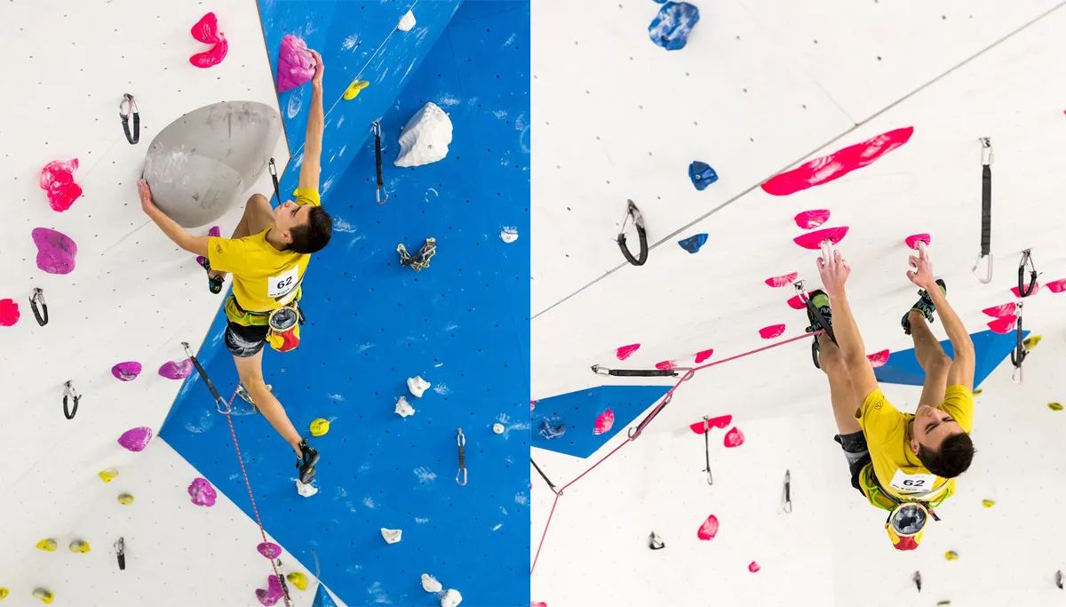 nigelarmino paullahaye ivy climbing