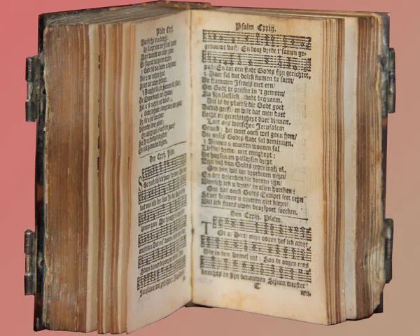 nizyr4ic525g3h4xsocb5e3v2 102323