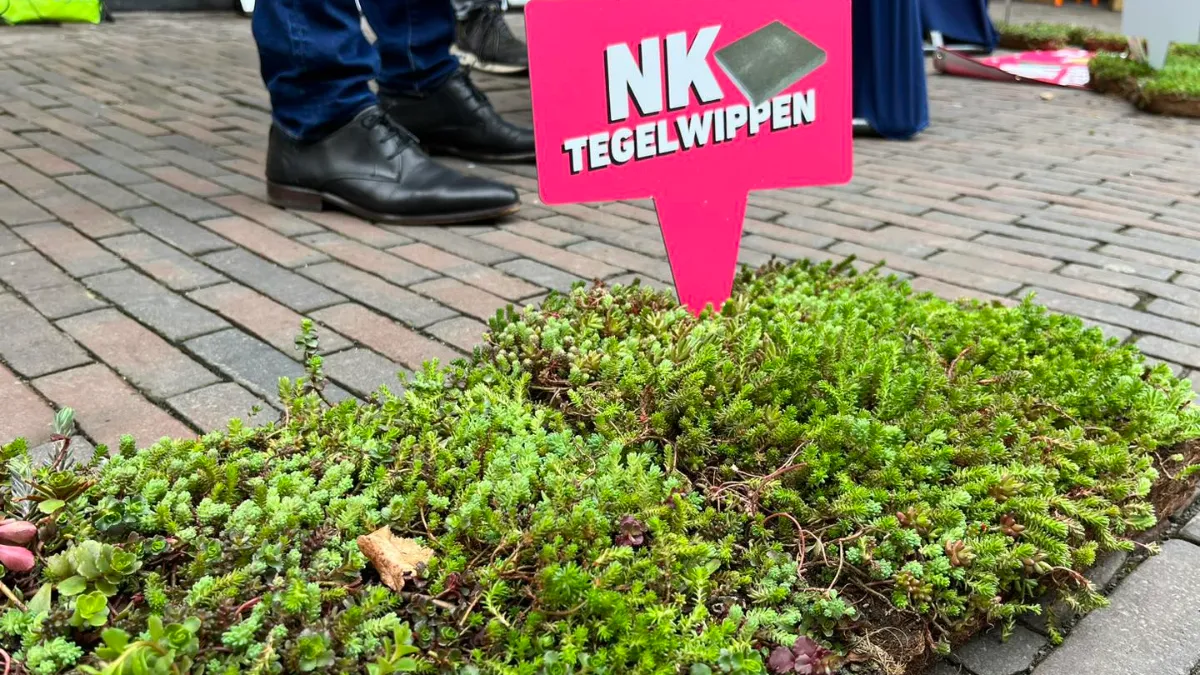 nk tegelwippen tuinman van sittard geleen