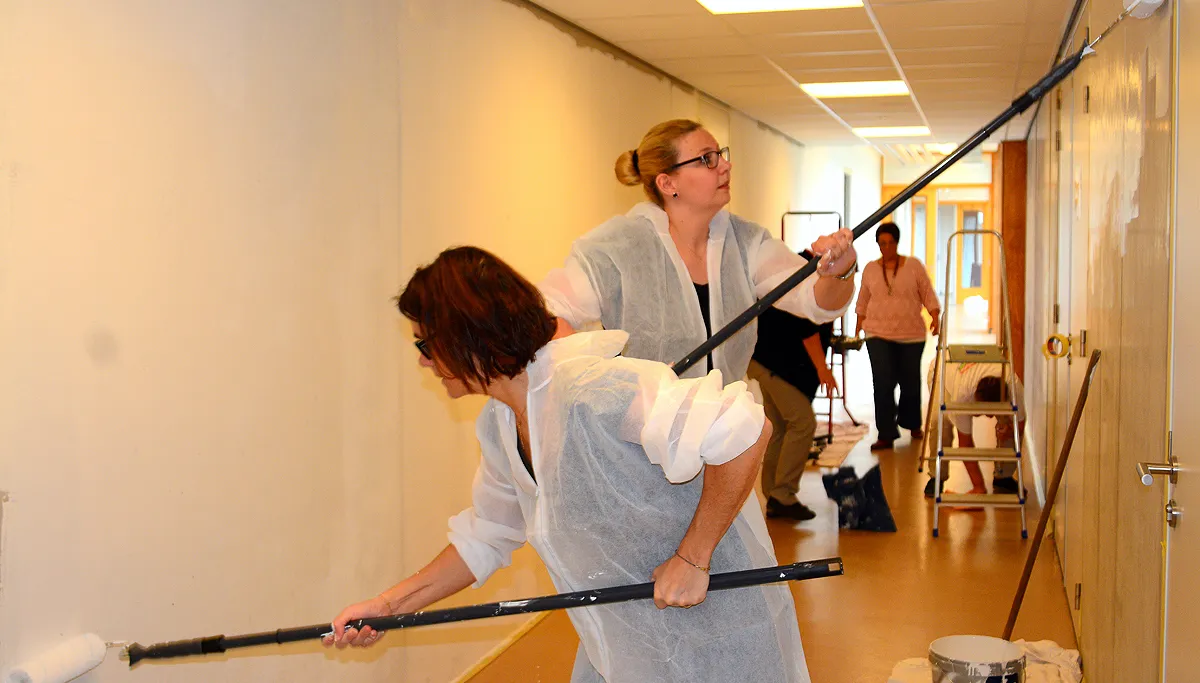 nl doet 2015 4 dierenbeschermingscentrum born