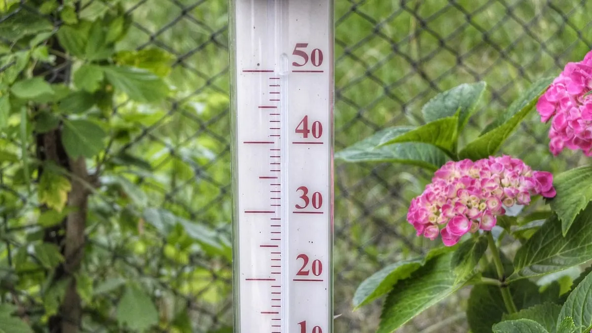 nog geen tien graden