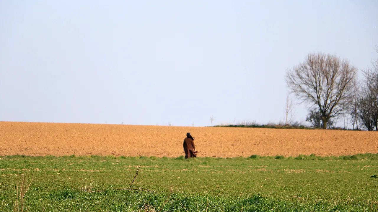 non aan de wandel op 28 maart 2020