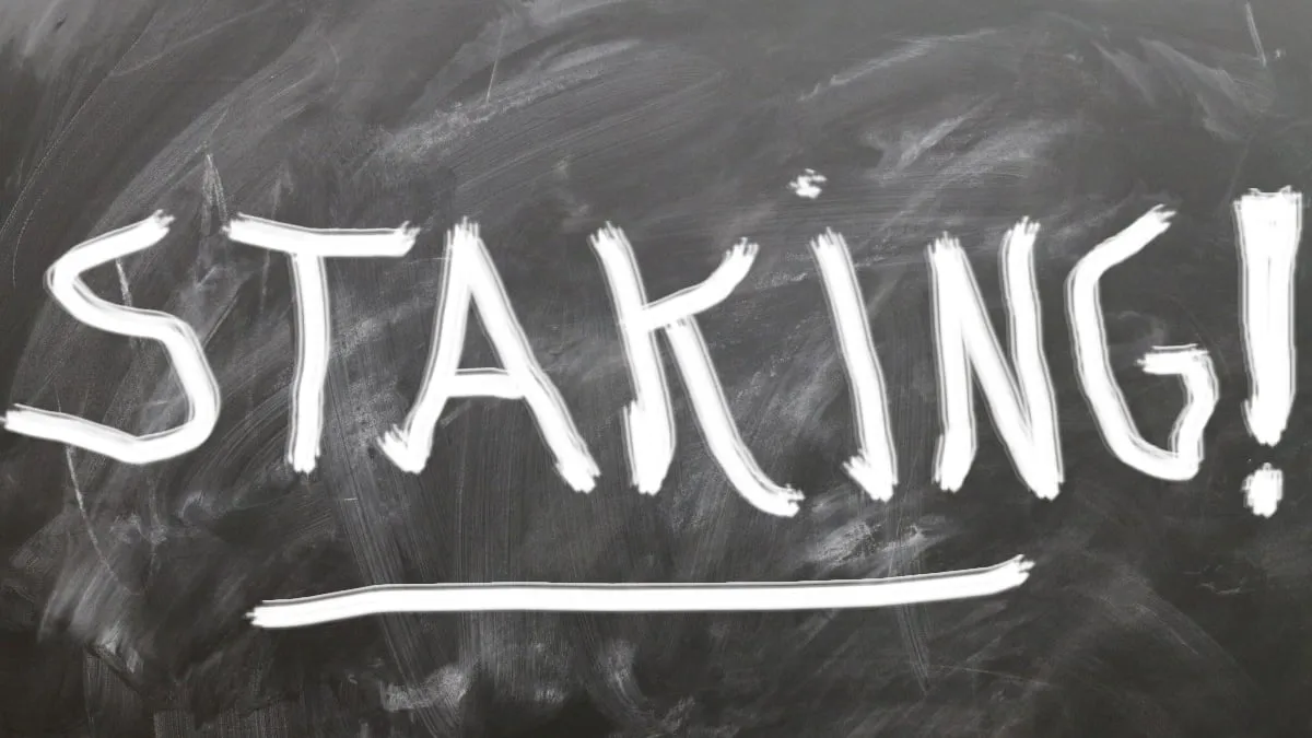 onderwijsstaking basisonderwijs