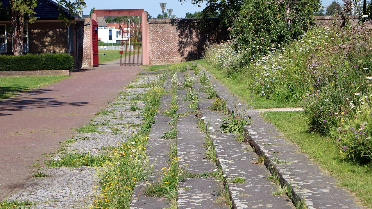 onkruid trappen ursulinentuin