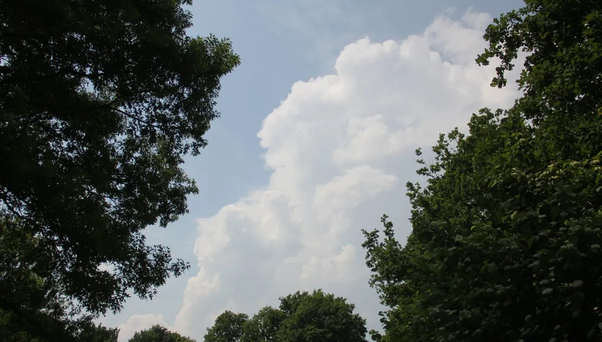 onweersbui bouwt zich op