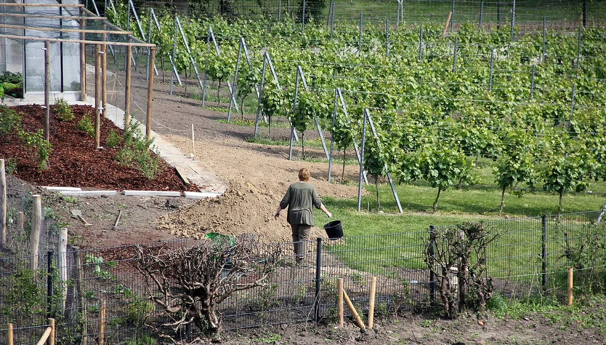 oostelijke schootsvelden 1
