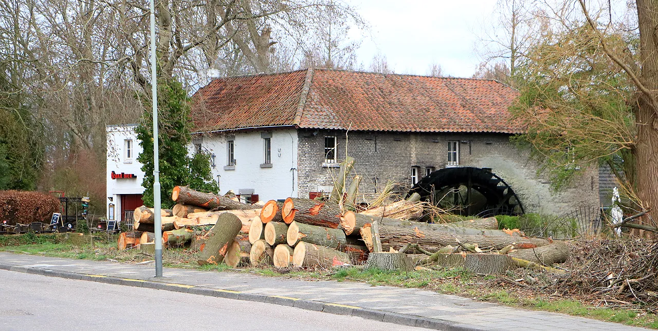 ophovenermolen sittard maart 2020