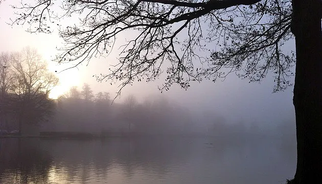 optrekkende mist roeirvijver 19 december 2016