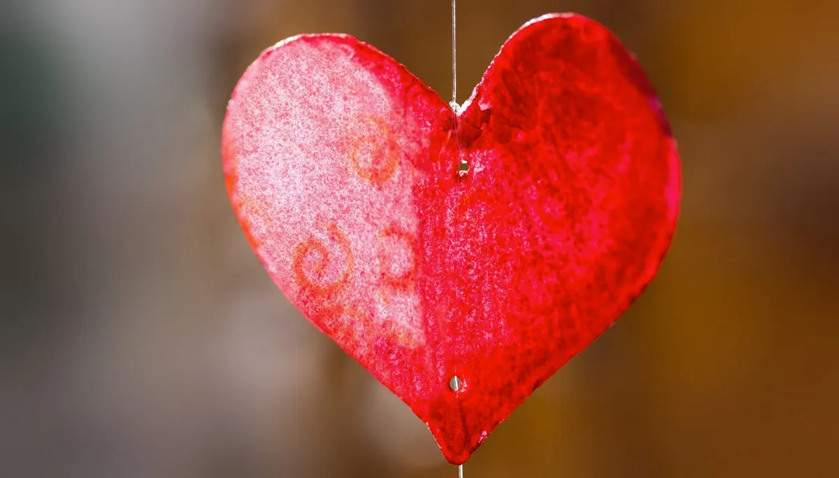 orgaandonatie hartje