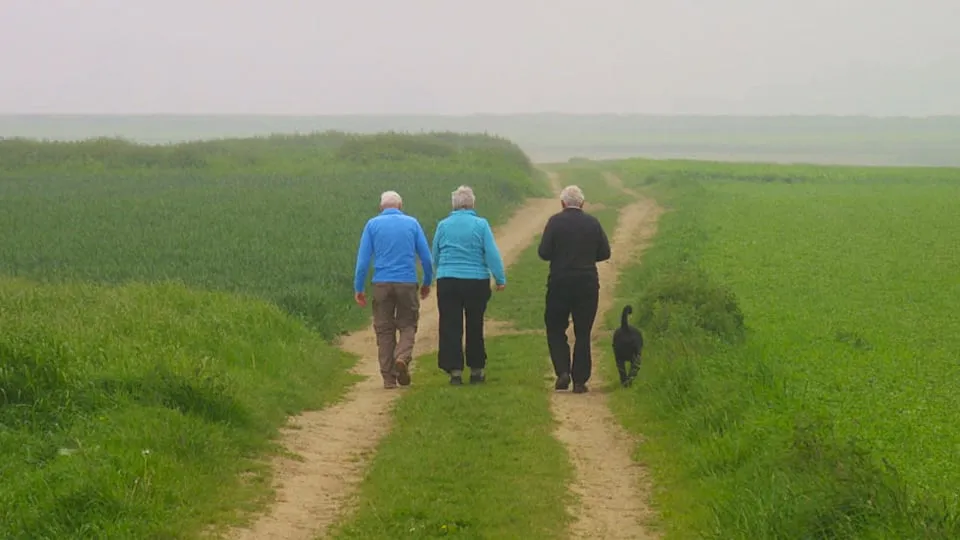 ouderen wandelen bewegen
