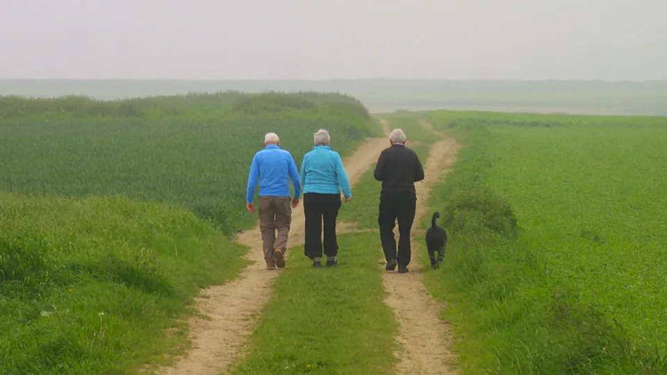 ouderen wandelen bewegen