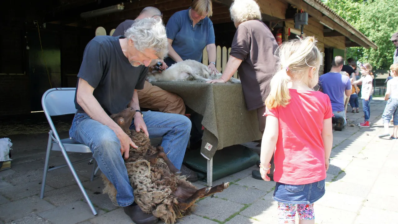 ouessant knippen 2000