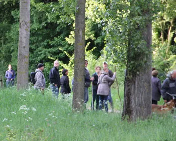 p28wkk0cdmnd6wul7eqagu381 233688