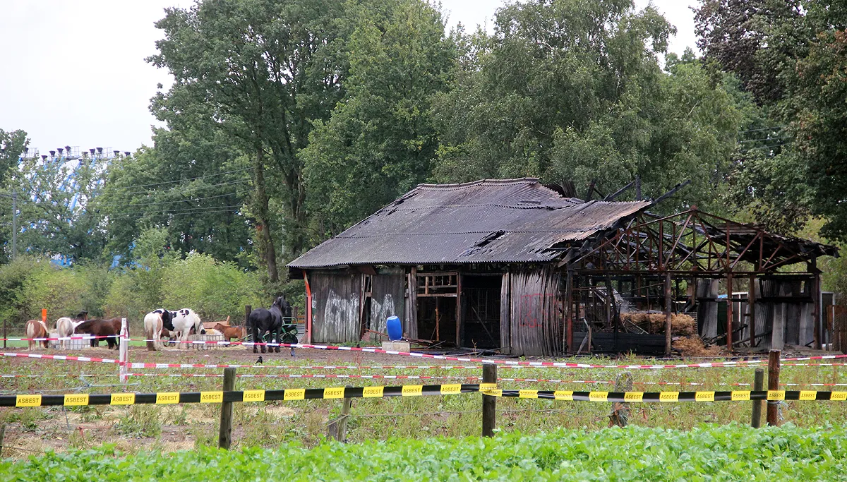paardenstal afgebrand 2