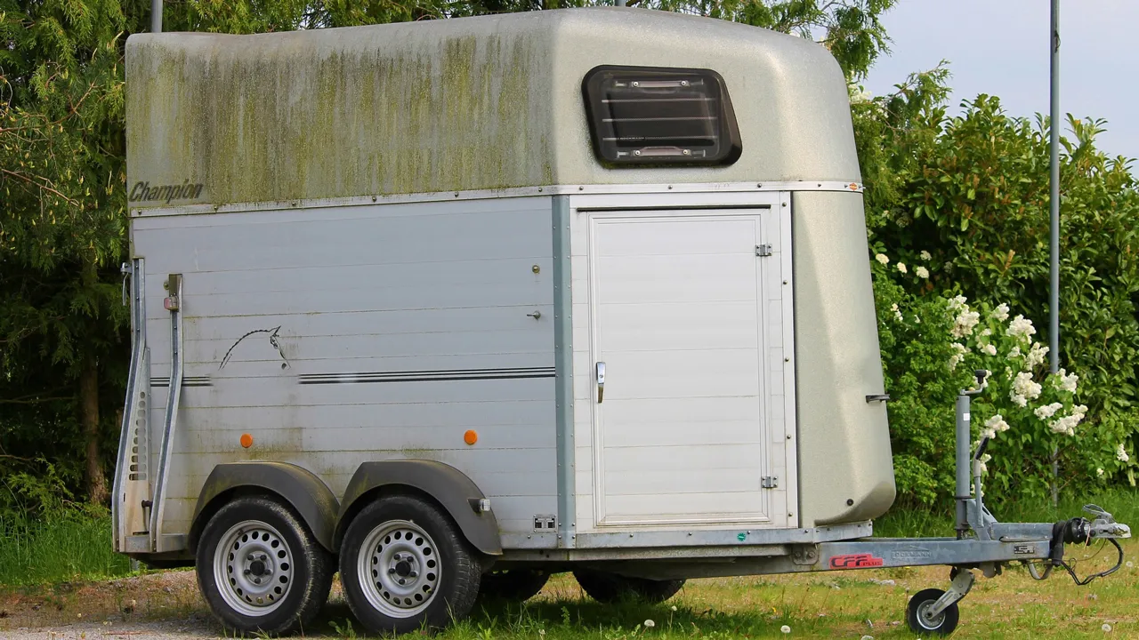 paardentrailer manfred richter via pixabay cc0