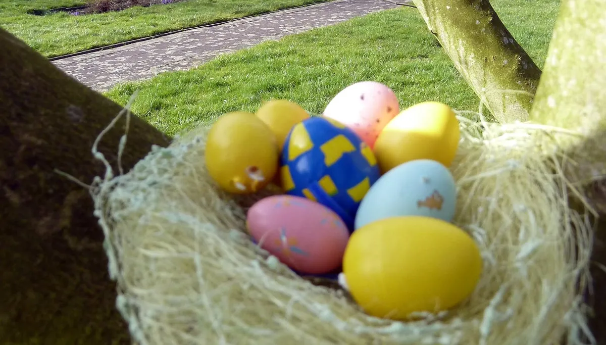 paaseieren zoeken in agnetentuin