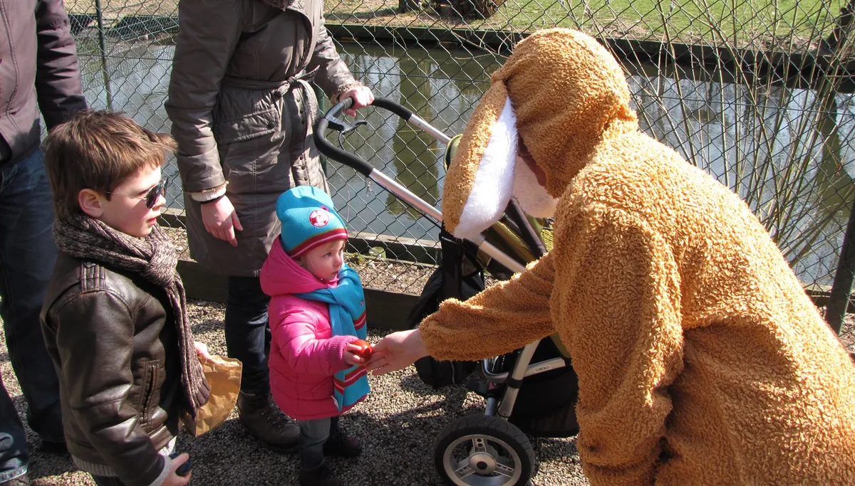 paashaas deelt ei uit 2013