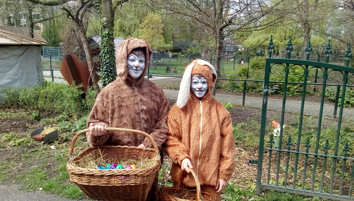 paashazen 2017 groot