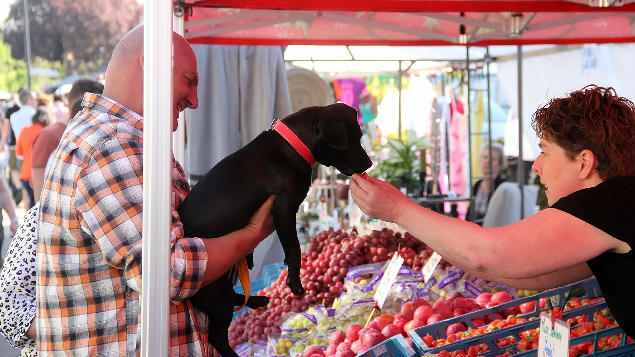paasmarkt born 2019 00