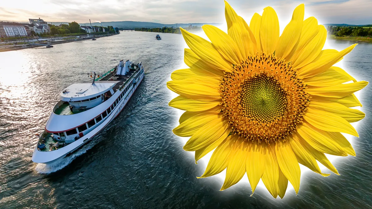 passagierscruiseschip op de rivier zonnebloem