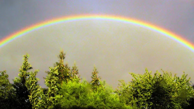 pcdl8z87ufemlzg2cj6yonq9w regenboogbos premasagar cc by nc 2