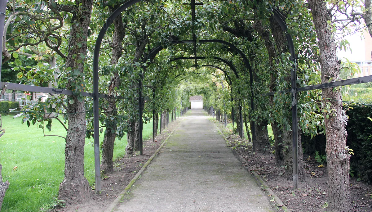 perenlaantje ursulinentuin geleennieuwsnl