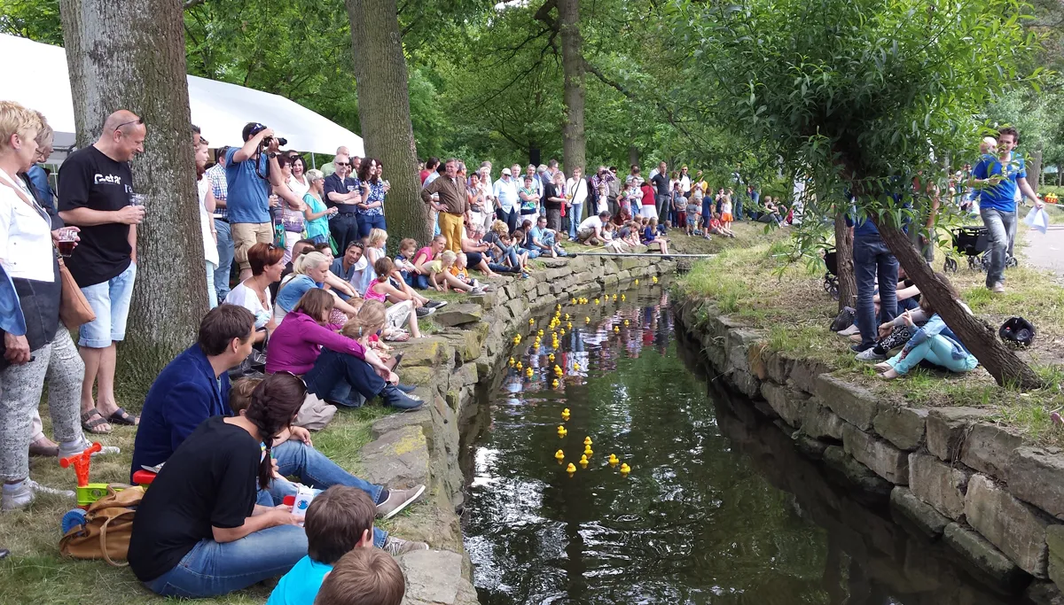 philharmonie badeendenrace 2016