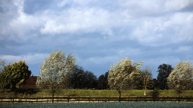 phkyawugnspc24a83nz9hijrs onstuimig herfstweer