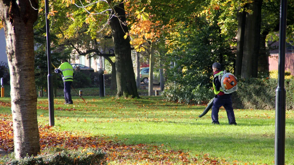 phz5bsjt7x6d4fjis5bivevpj bladblazers in geleen