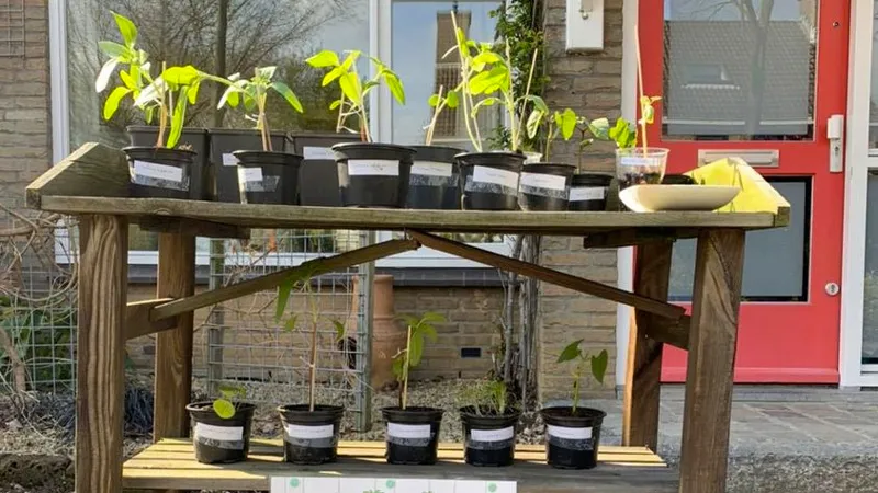 plantenbieb kermperkoul sittard