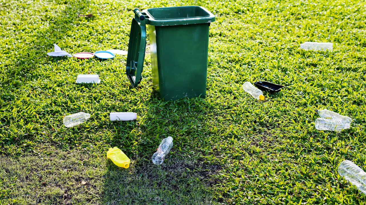 plastic flassen op grasveld cc0 via pexels