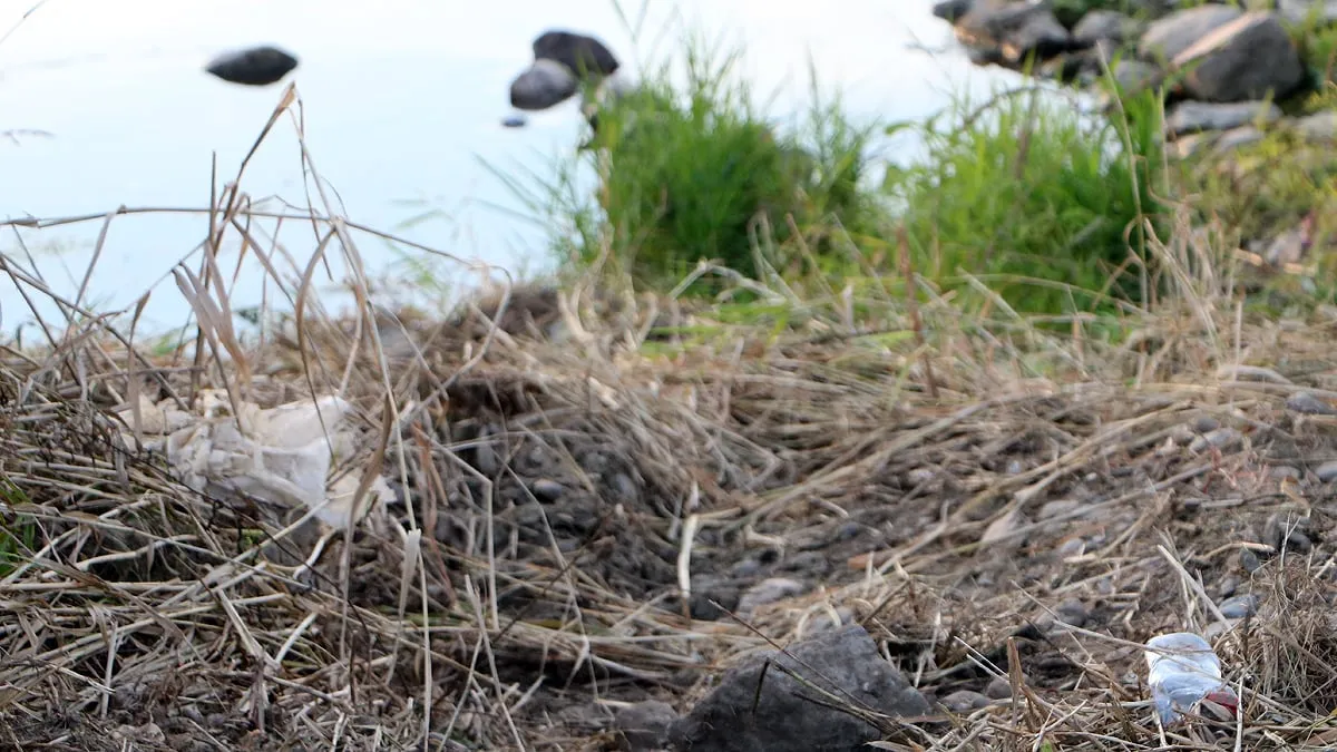 plastic langs de maas