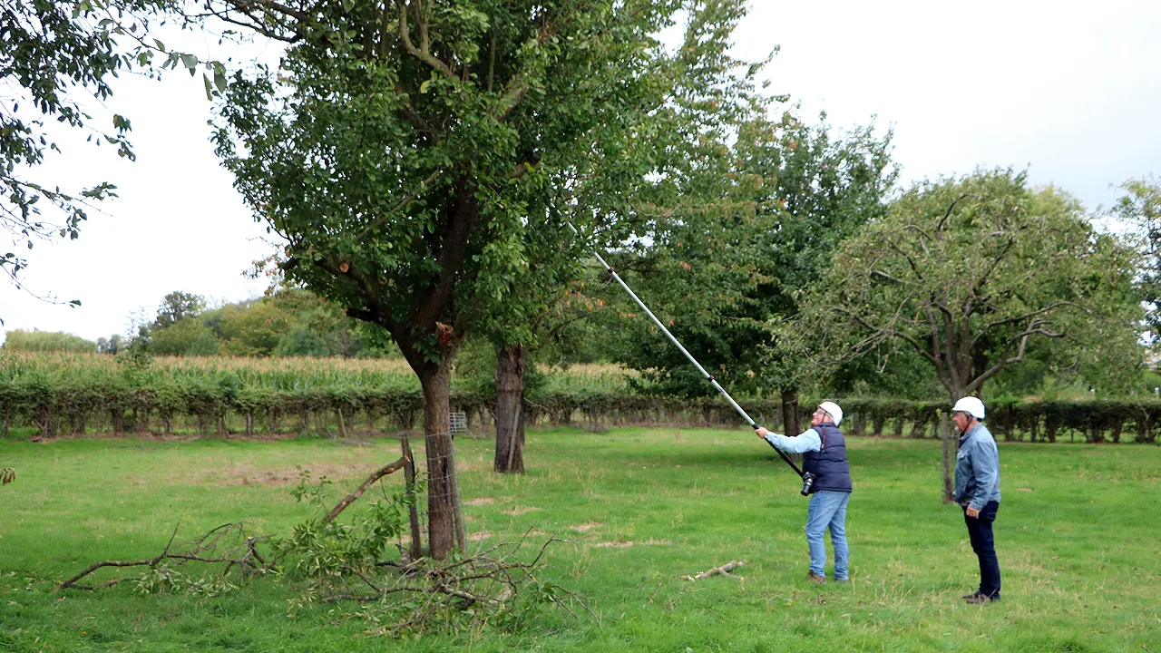 plok snoeicursus fruitwei broekstraat 2