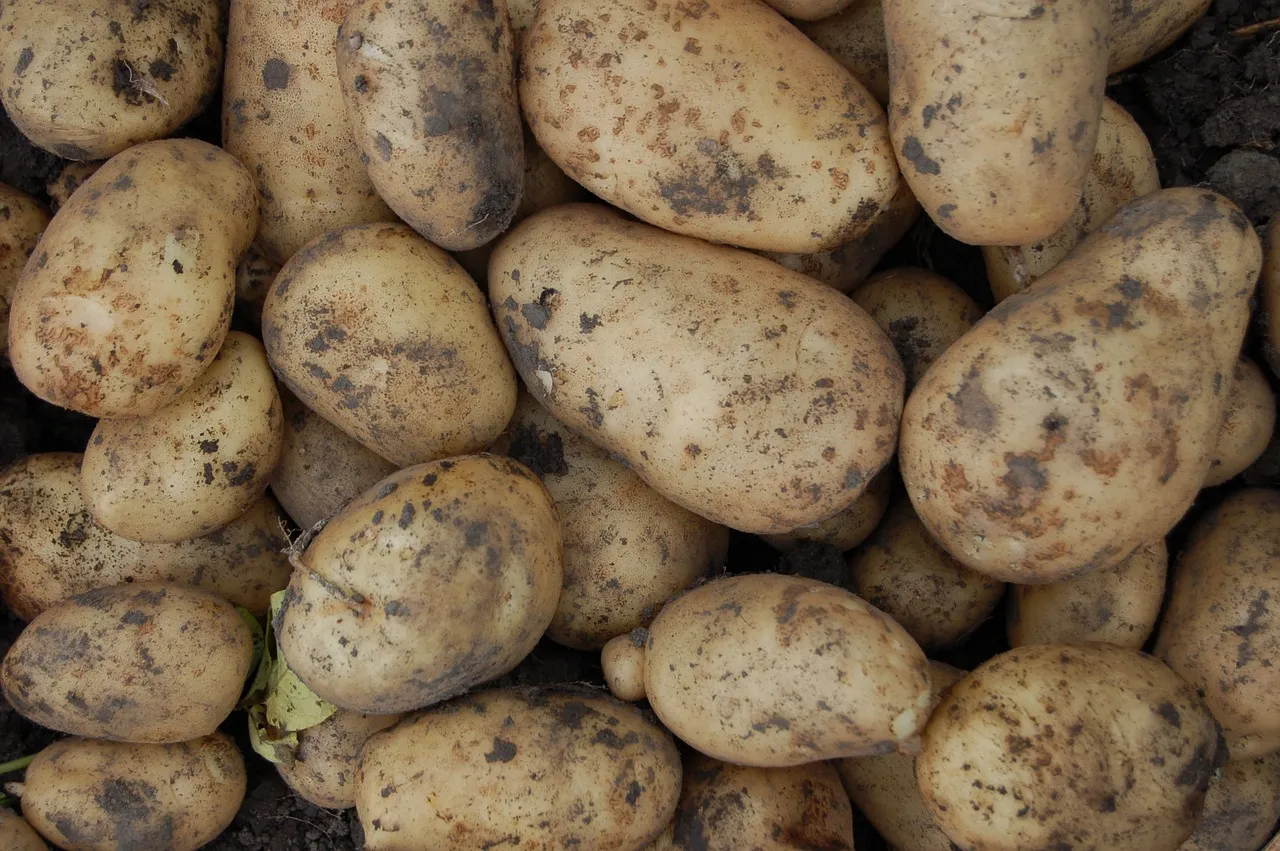 potatoes 1183623 1280 aardapples