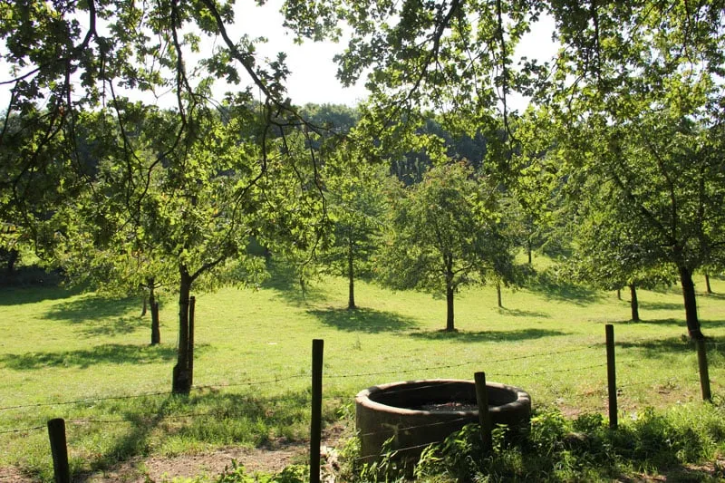 prachtig nazomerweer01