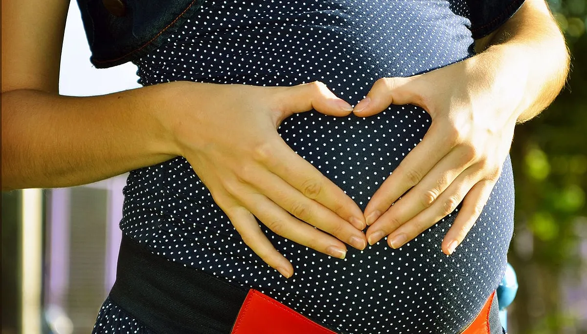 pregnant 244662 1920 zwanger cc0 pixabay