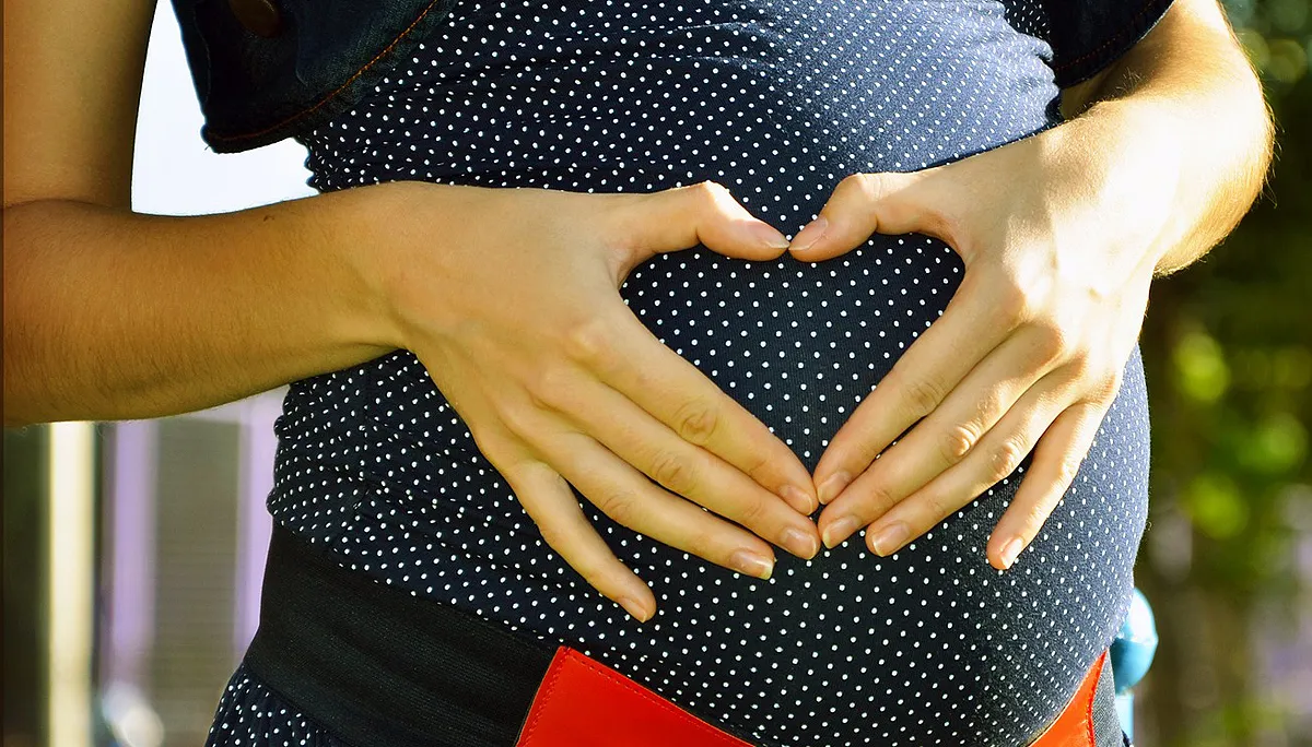 pregnant 244662 1920 zwanger cc0 pixabay