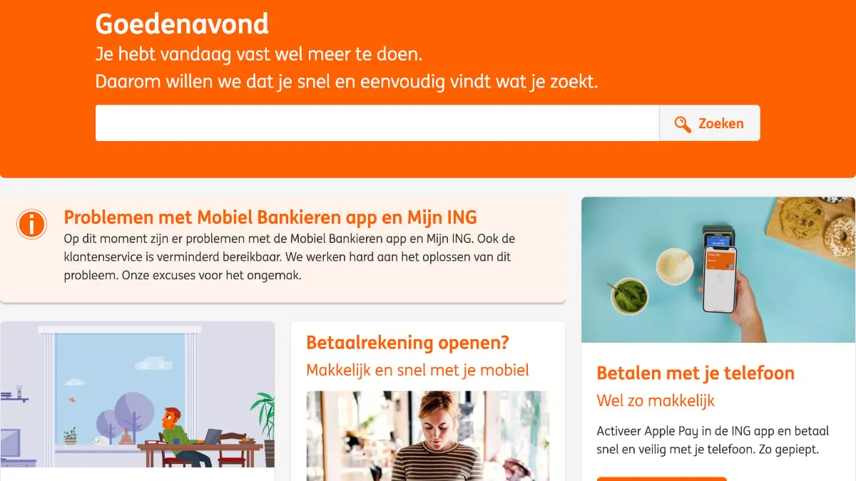 problemen ing online
