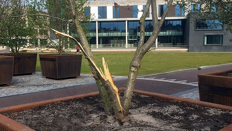 prunus zessprong vandalisme