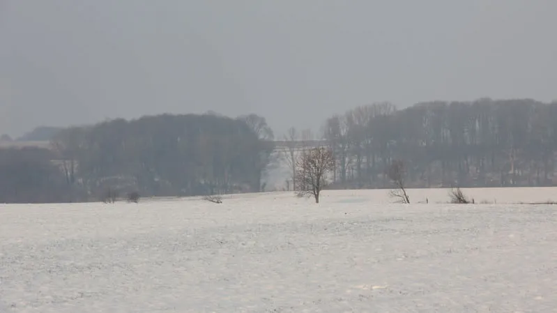 pw8quiup106nn6g0t6szliol8 winter201217 16 9