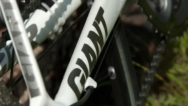 q38kbl8njx58r3xql7vfrjpxw giant