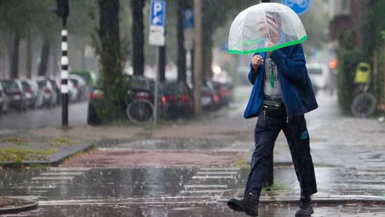 qxjiqjr5ylka2edtrsq5evl5r regenbuiparapluhqnovum