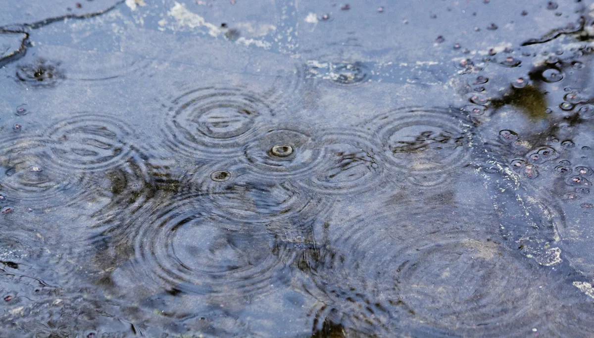 rain 65484 1920 regen