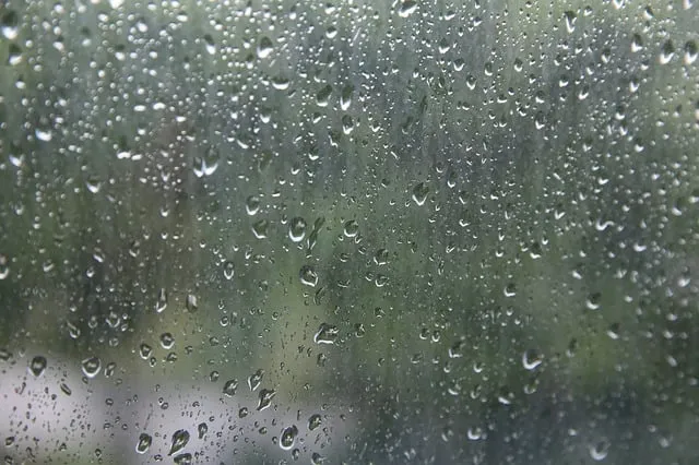 rain beads 2347518 640 regendruppels regen cc0 pixabay