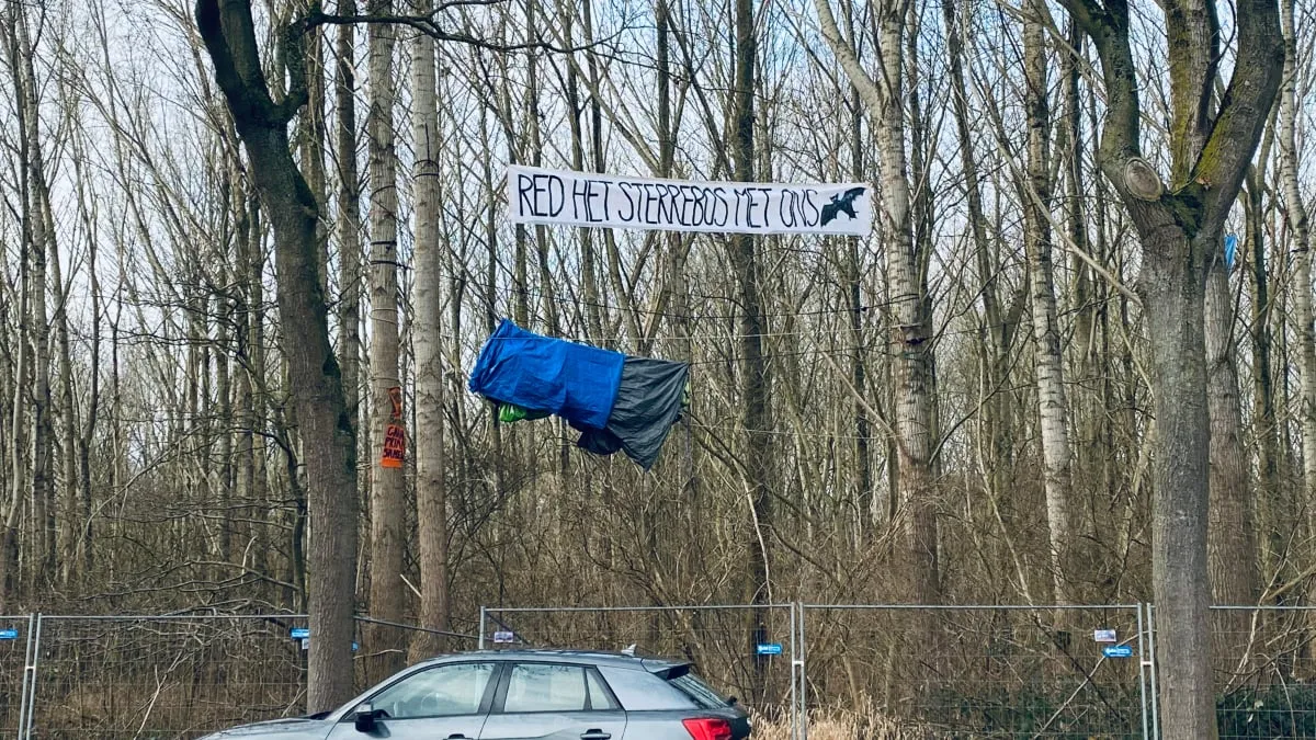 red het sterebos nog 2 actievoerders in de bomen